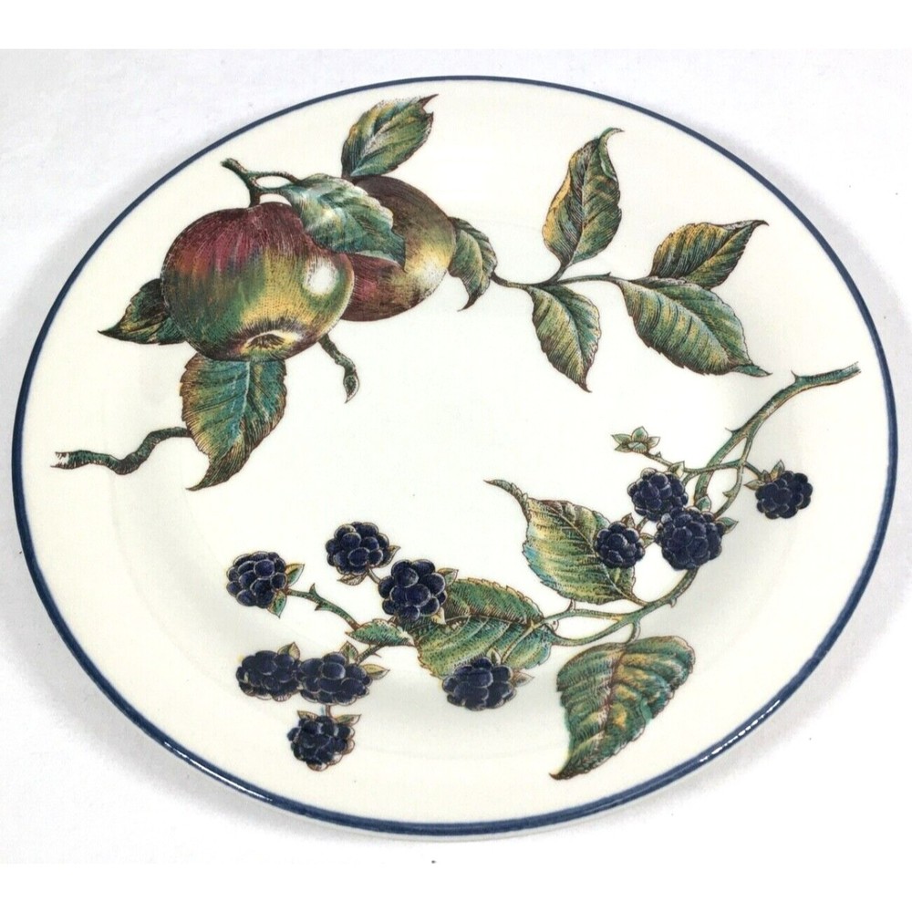 Pier 1 One Macintosh Plate Salad Dessert Luncheon 8” Apples Blackberries Fruit